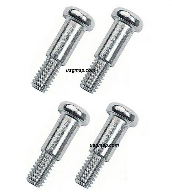 68 Firebird Front Park Lenses SCREWS (ea))